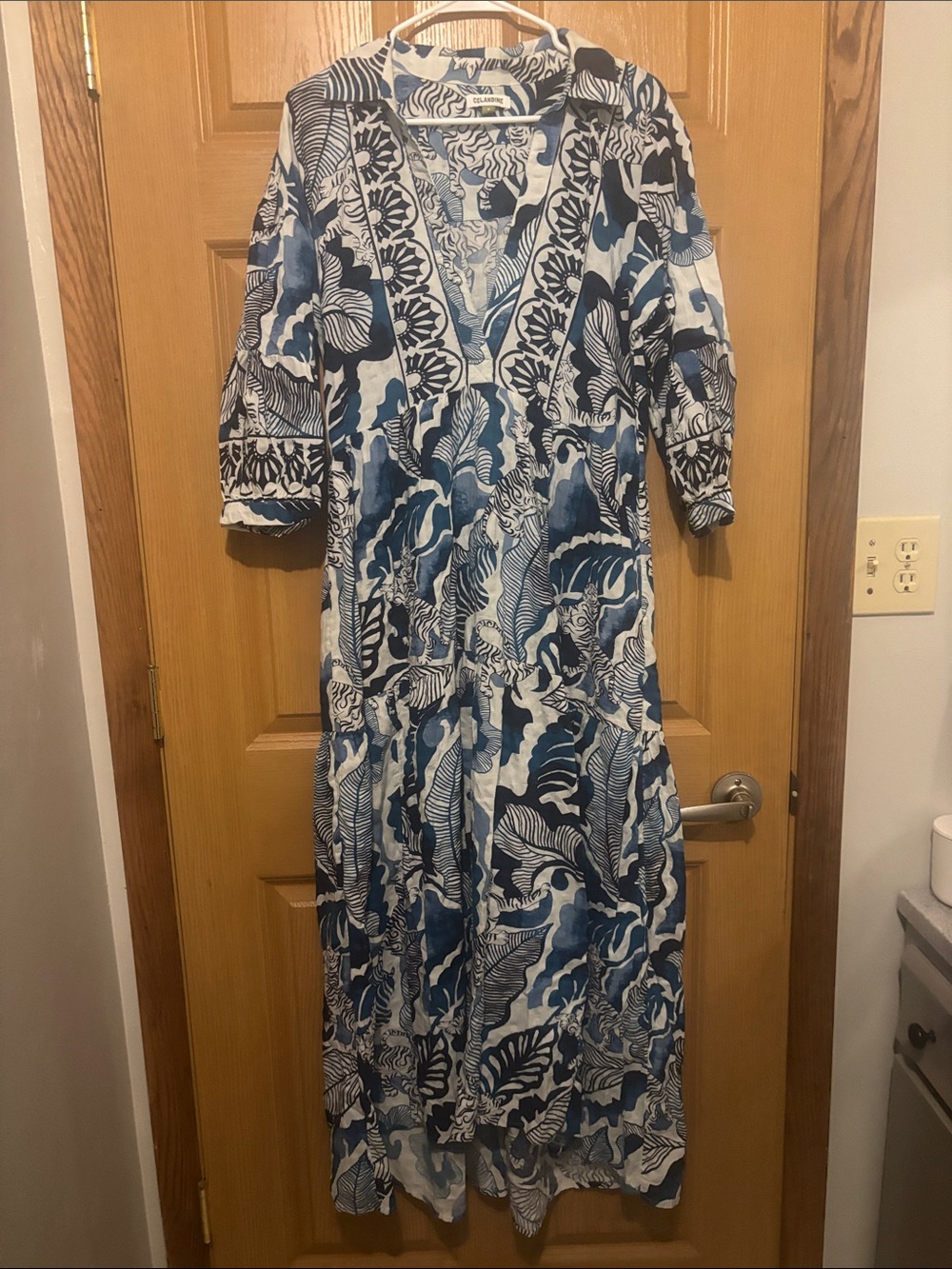 Anthropologie Blue & White Celadine Floral-Print Maxi Dress